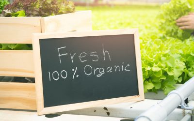 Marketing no agronegócio: como atrair pequenos produtores